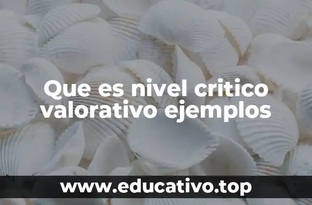 Que es nivel critico valorativo ejemplos