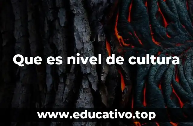 Que es nivel de cultura