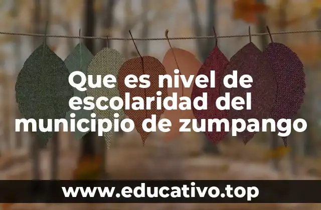 Que es nivel de escolaridad del municipio de zumpango