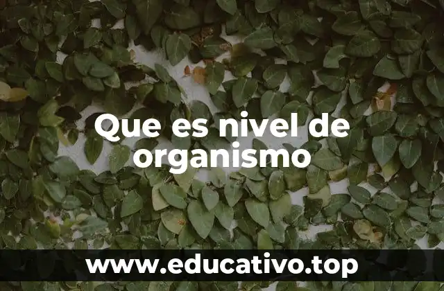 Que es nivel de organismo