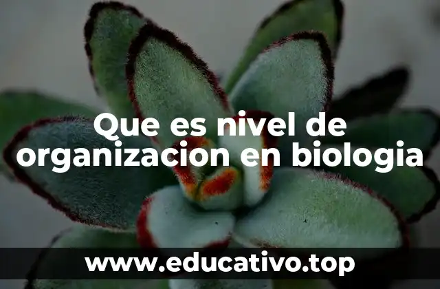 Que es nivel de organizacion en biologia