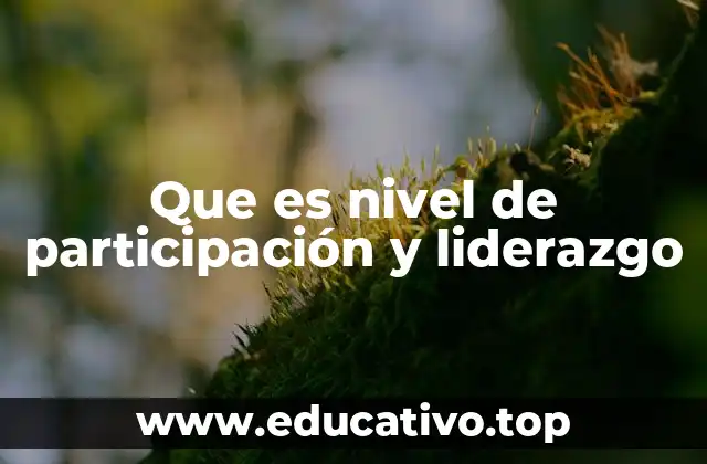 Que es nivel de participación y liderazgo