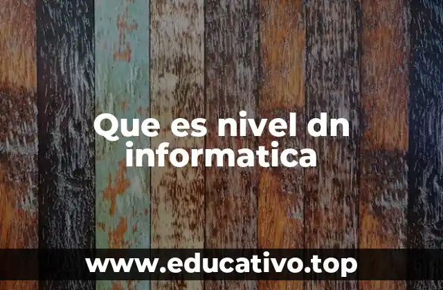 Que es nivel dn informatica