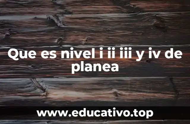 Que es nivel i ii iii y iv de planea