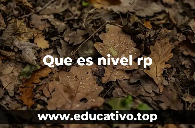 Que es nivel rp