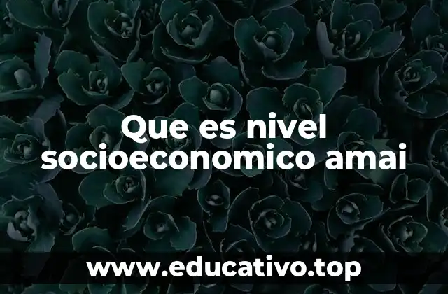 Que es nivel socioeconomico amai