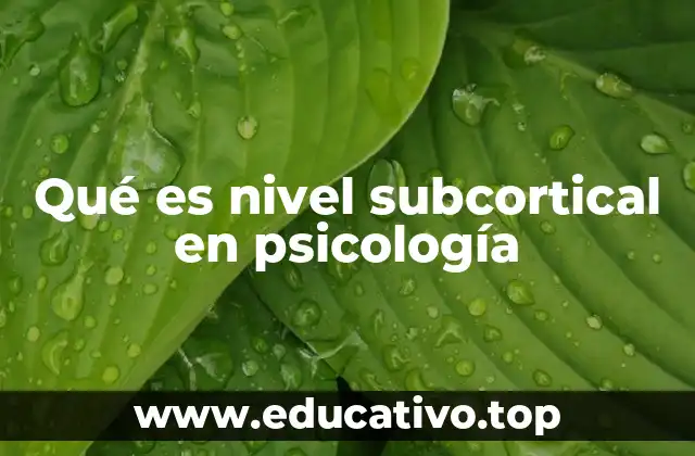 Qué es nivel subcortical en psicología