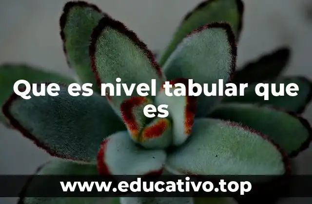 Que es nivel tabular que es