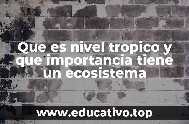 Que es nivel tropico y que importancia tiene un ecosistema