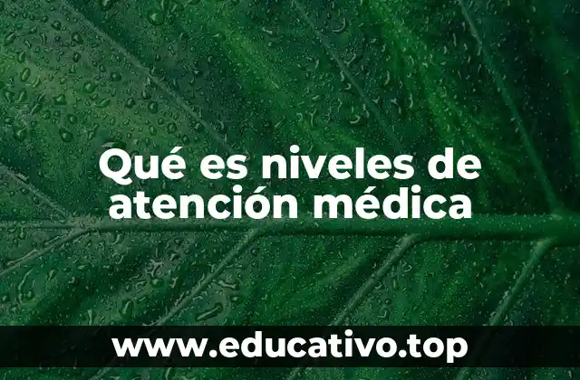 Qué es niveles de atención médica