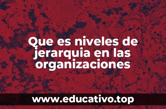 Que es niveles de jerarquia en las organizaciones