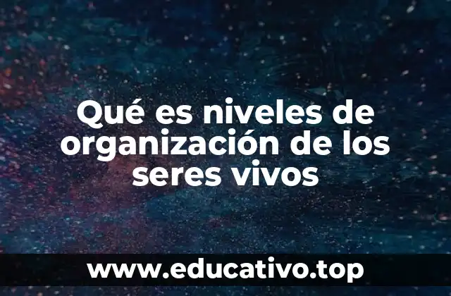 Qué es niveles de organización de los seres vivos