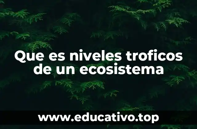 Que es niveles troficos de un ecosistema