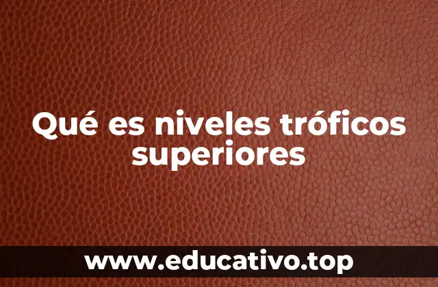 Qué es niveles tróficos superiores