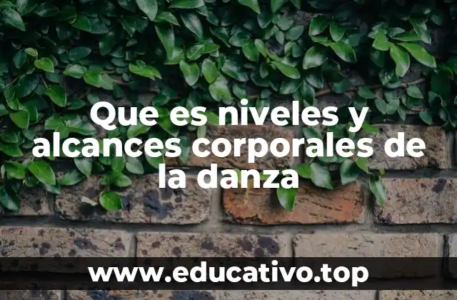 Que es niveles y alcances corporales de la danza