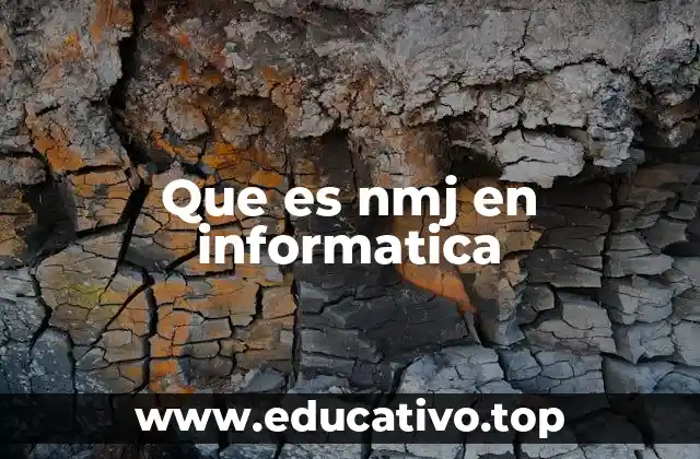 Que es nmj en informatica
