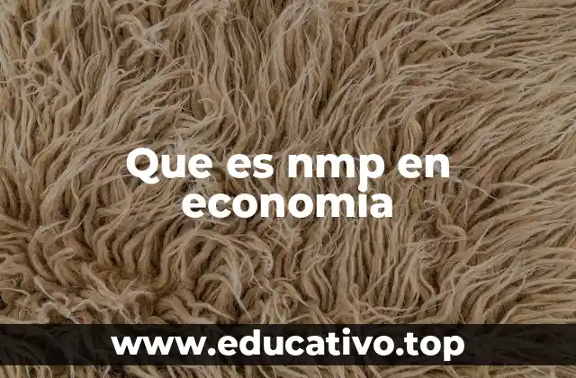 Que es nmp en economia