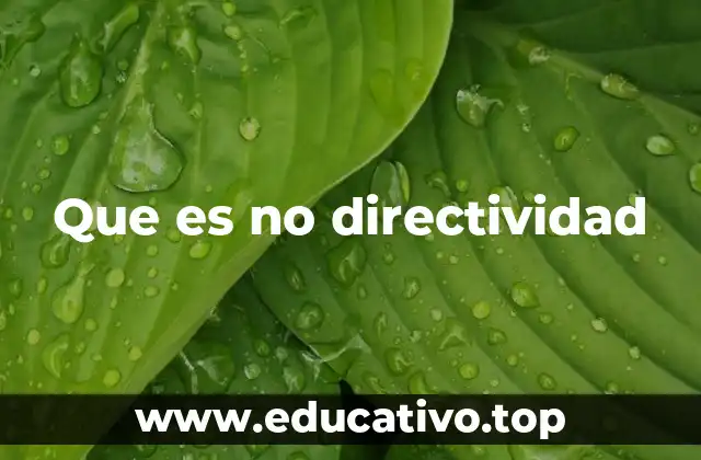 Que es no directividad