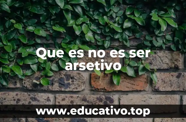 Que es no es ser arsetivo