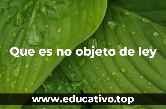 Que es no objeto de ley