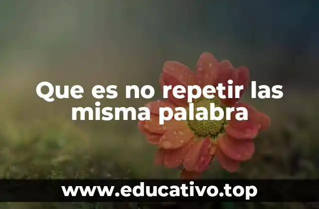 Que es no repetir las misma palabra