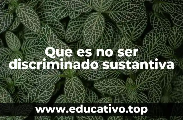 Que es no ser discriminado sustantiva