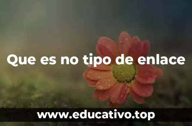 Cómo los enlaces sin tipo afectan el posicionamiento web