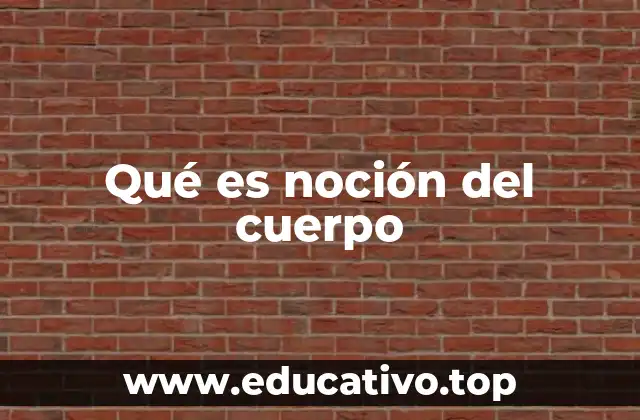 Qué es noción del cuerpo