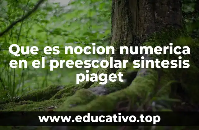 Que es nocion numerica en el preescolar sintesis piaget