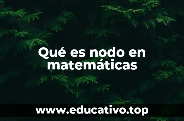 Qué es nodo en matemáticas