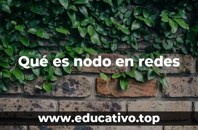 Qué es nodo en redes
