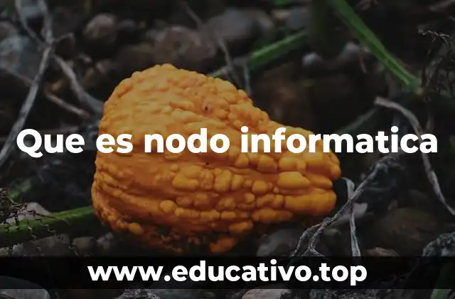 Que es nodo informatica