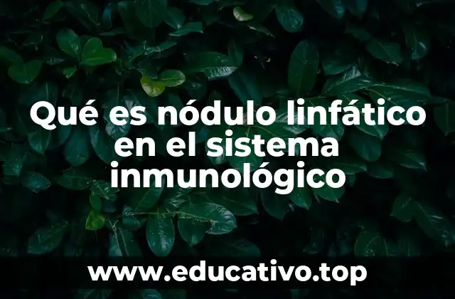 Qué es nódulo linfático en el sistema inmunológico