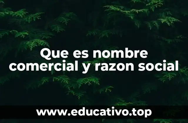Que es nombre comercial y razon social