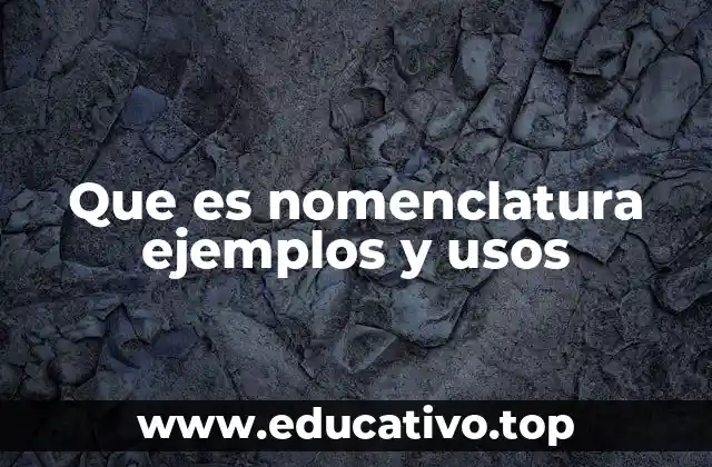 Que es nomenclatura ejemplos y usos