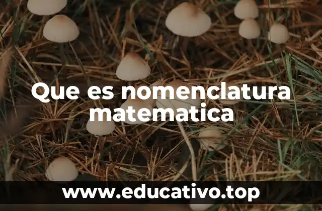 Que es nomenclatura matematica
