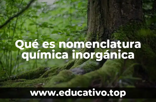 Qué es nomenclatura química inorgánica