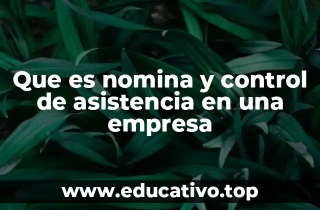 Que es nomina y control de asistencia en una empresa
