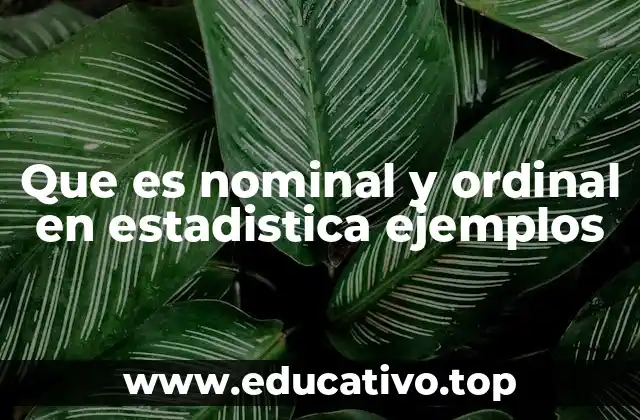 Que es nominal y ordinal en estadistica ejemplos