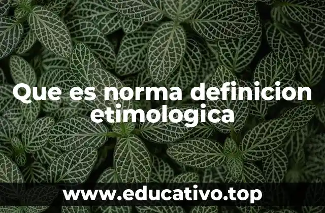 Que es norma definicion etimologica