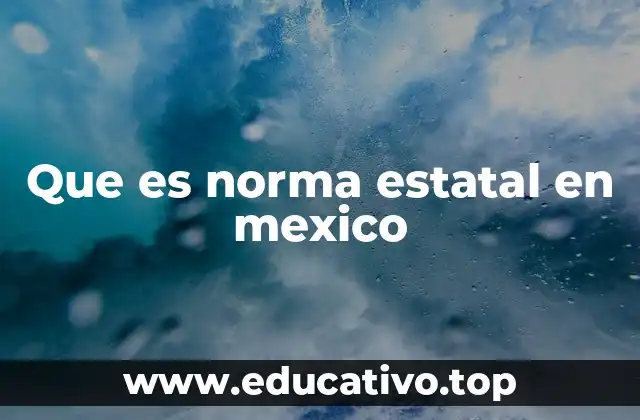 Que es norma estatal en mexico