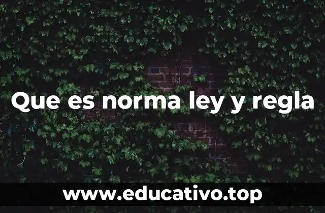 Que es norma ley y regla