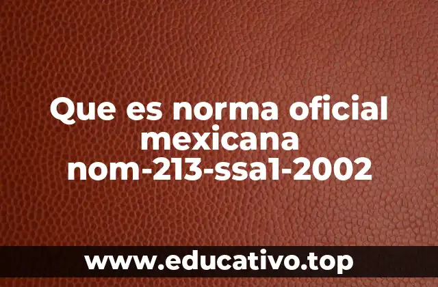 Que es norma oficial mexicana nom-213-ssa1-2002