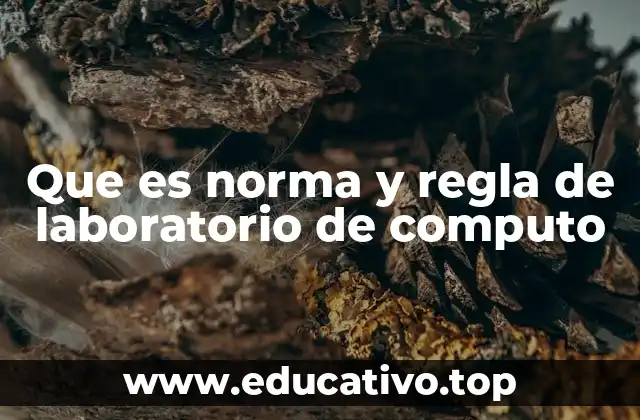 Que es norma y regla de laboratorio de computo