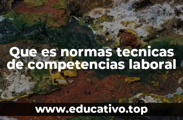 Que es normas tecnicas de competencias laboral