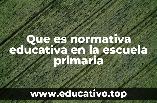 Que es normativa educativa en la escuela primaria