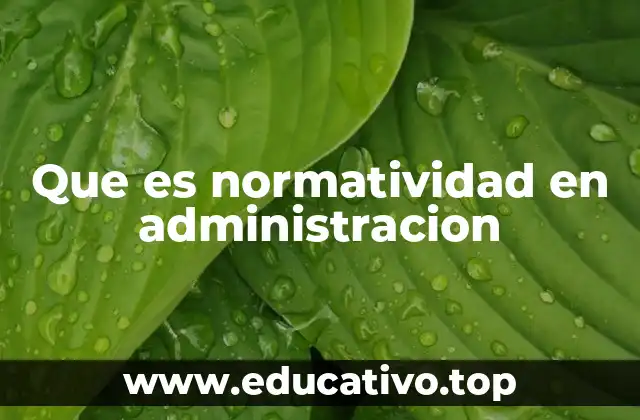 Que es normatividad en administracion