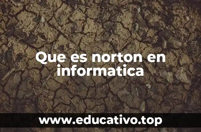 Que es norton en informatica