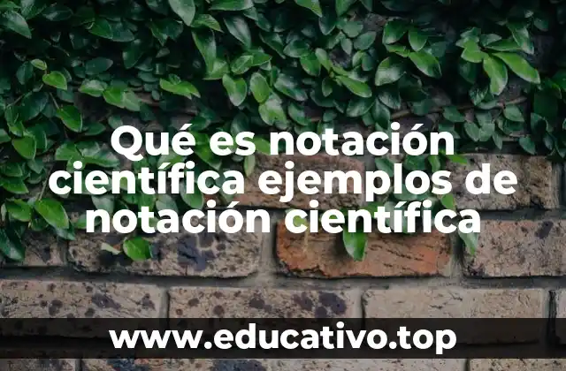 Qué es notación científica ejemplos de notación científica