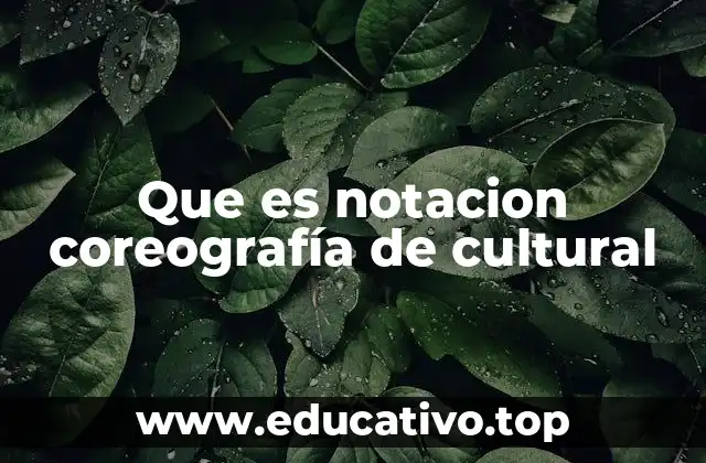 Que es notacion coreografía de cultural